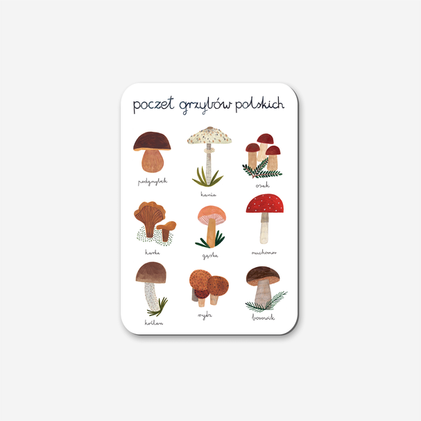 Magnes Poczet Grzybów Polskich