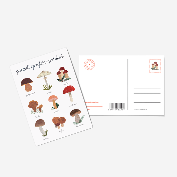 Polish Mushroom Postcard